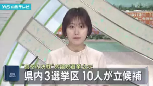 県内3選挙区 10人が立候補