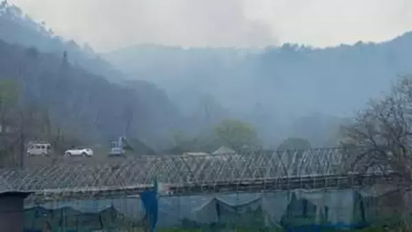 上山市で林野火災