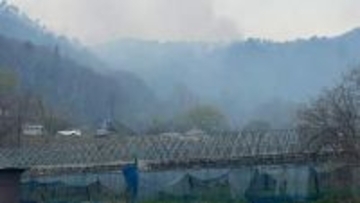 上山市で林野火災