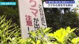 「クマから命を守る術は　山菜採りシーズン本格化　専門家「顔や首、前面を守って」」の画像1