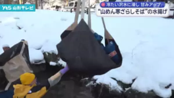 「山めん寒ざらしそば」の水揚げ
