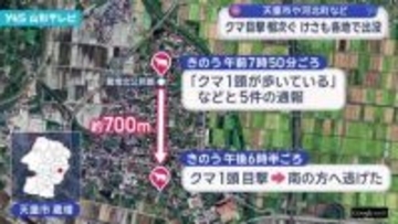 クマの目撃情報相次ぐ けさも各地で出没