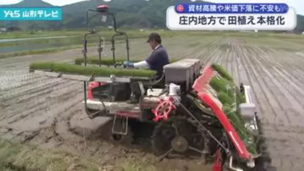 米どころの庄内地方で田植え本格化 資材高騰や米価下落に不安も