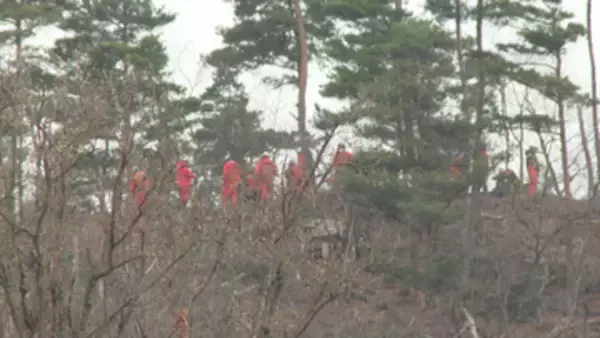 上山市の林野火災 早朝から消火活動を再開 発生当時、現場ではたき火