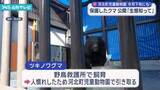 「保護されたツキノワグマを公開へ 河北町児童動物園「クマの生態知ってほしい」」の画像1