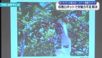 収穫ロボットで労働力不足を解決 サクランボ栽培　スマート農業促進セミナー
