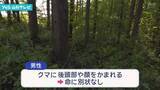 「上山市　山菜採りの男性がクマに襲われけが」の画像1