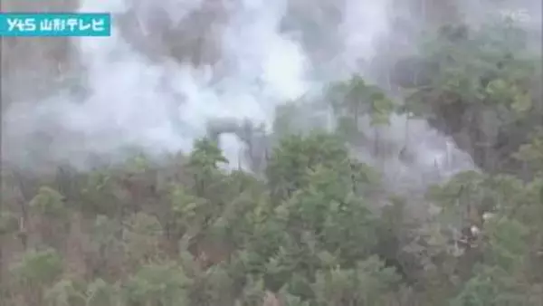 上山市で林野火災　消火活動続く　下草など約8ヘクタール焼ける