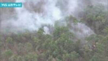 上山市で林野火災　消火活動続く　下草など約8ヘクタール焼ける