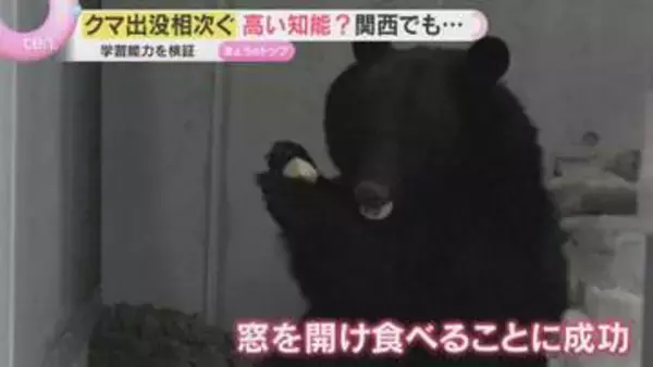 【クマ出没相次ぐ】栃木・宇都宮の中心部で目撃、全小中学校が休校に　窓や蛇口操作も…高い知能に警戒