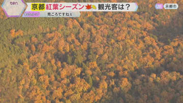 【空から中継】京都の紅葉はいまが見ごろ「くっきりと赤く色づく」嵐山の渡月橋には多くの観光客