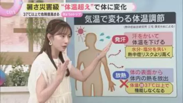 【解説】暑さ災害級“体温超え”で危険度高まる　「脳」は暑さに弱く“頭”を冷やす熱中症対策が必要