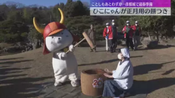 【迎春準備】「ひこにゃん」が正月用餅つきのお手伝い　観光客にきな粉餅のおもてなしも　国宝・彦根城