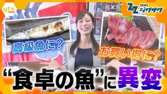 【明暗】サンマが1匹1400円？網に入ったクロマグロは“捨てる”事態に…食卓の魚に起きている異変のワケ