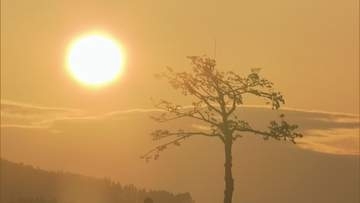 次に備えて楽しく学ぶ 3.11で被災したホテル　"防災学習宿泊プラン"を体験　岩手・陸前高田市