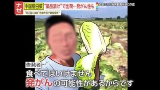 【告発】「本当に狂っています」中国で白菜をホルムアルデヒドに漬けて出荷　地元政府も事実認める｢輸送中の鮮度保持が目的｣　発がん性指摘も…日本への影響は？