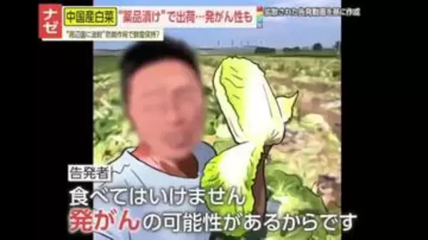 【告発】「本当に狂っています」中国で白菜をホルムアルデヒドに漬けて出荷　地元政府も事実認める｢輸送中の鮮度保持が目的｣　発がん性指摘も…日本への影響は？