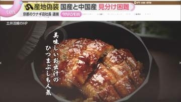 秋の味覚に“異変”　サケやサンマは漁獲量の減少…ウナギは産地偽装「プロでも見抜けない」