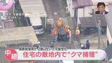 「【映像解説】住宅街を運び出されるクマ　麻酔銃でこん睡状態か　宇都宮中心部に出没　民家敷地内で捕獲」の画像1