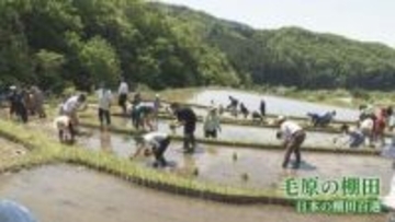 毛原の棚田で家族連れら田植え体験　福知山