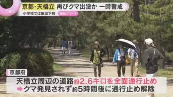 京都「天橋立」でまたクマ目撃か「出会ったら身動きできない」小学校では集団下校　2日前には捕獲