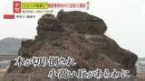 「【ナゼ】雑木林を伐採したら“大きな岩”が…古くから伝わる『たたり』の言い伝えも？鎌倉市の再開発で住民に広がる不安」の画像1