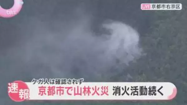 京都市右京区で山林火災、消火活動続く　世界遺産「仁和寺」から北西に約3キロ　ケガ人は確認されず