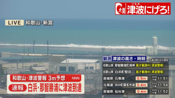 【速報】和歌山・白浜町と那智勝浦町に津波の第1波が到達（午後0時50分現在）