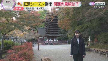 紅葉の名所で約3000本のカエデ色づき始める　「大化の改新」藤原鎌足を祀る談山神社　奈良・桜井市