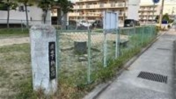 兵庫・姫路市でサルに襲われ小学生女児がケガ　4月末から相次ぐ目撃情報　警察が注意呼びかけ