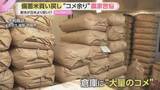 「「コメ余り」深刻　去年のコメがまだあるのにもう新米が…豊作で「赤字必至」販売店や農家の実情　政府備蓄米買い戻しも発表」の画像1