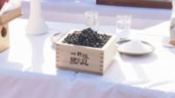 兵庫・丹波篠山特産のの黒豆　篠山藩が幕府に献上していた歴史を伝えるイベント　今月上野東照宮に奉納