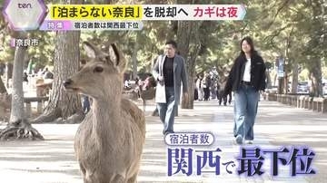 【特集】宿泊者数は関西最下位『泊まらない奈良』からの脱却へ―“大仏商法”からの転換に動き出す奈良の観光戦略