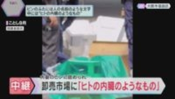 中央卸売市場で大量のビンに詰められた「ヒトの内臓のようなもの」　病院などから出た「医療廃棄物」か