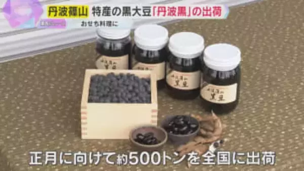 おせち料理の定番“黒いダイヤ”　丹波篠山市特産の黒大豆「丹波黒」出荷　粒大きく、甘みとコクが特徴
