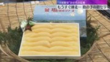 おせちの定番「数の子」初セリ　去年と比べ水揚げ量やや減少も品質上々　最高額はキロあたり1万２千円