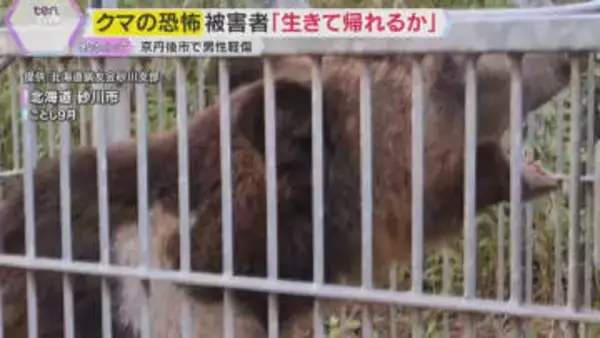 「出会ってからでは遅い」クマに襲撃された恐怖を男性語る　相次ぐクマ被害に自衛隊の災害派遣要請も