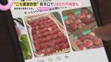 「高級果物めぐる「ニセ農家詐欺」ブランド桃が「12個1000円」の甘い誘い…実在農家をかたる新たな手口とは」の画像1