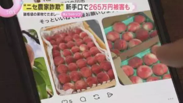高級果物めぐる「ニセ農家詐欺」ブランド桃が「12個1000円」の甘い誘い…実在農家をかたる新たな手口とは