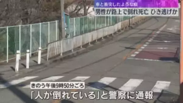 路上で男性が意識不明状態で倒れているのが見つかりその後死亡　顔には傷、内臓など損傷　ひき逃げされたか