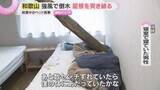 「【GWの嵐】「あと数センチずれていたら…」裏山の倒木が住宅の屋根を突き破る　大雨による土砂崩れも」の画像1