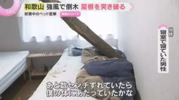 【GWの嵐】「あと数センチずれていたら…」裏山の倒木が住宅の屋根を突き破る　大雨による土砂崩れも