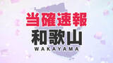 「【衆院選速報】和歌山の情勢　1区は山本氏、2区は裏金問題で自民党を離党した世耕氏が当選確実（午後8時現在）」の画像1