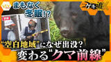 「【特集】“空白地域”にも出没…クマ増加の背景は？良いエサ場を持つ個体＝冬眠入りが遅い可能性も　共生へのカギと対策」の画像1