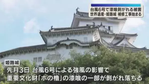 【世界遺産・姫路城】台風6号で外壁の漆喰の一部が剥がれる被害　むき出しの土壁の補修工事始まる