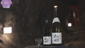 「コクのあるお酒に仕上がった」坑道で熟成　”幻の銘酒”純米吟醸酒「仙櫻」の蔵出し　兵庫・養父市
