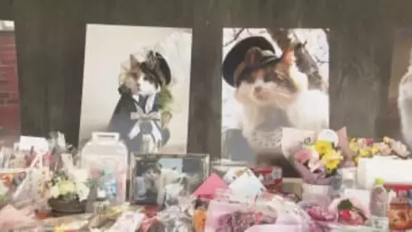 和歌山電鉄・貴志駅の2代目駅長「ニタマ」をしのんで社葬　約500人の参列者が別れを惜しむ