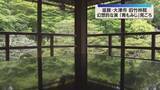「「反射する景色が本当にきれい」机に映りこむ幻想的な新緑『青もみじ』見ごろ　滋賀県大津市の旧竹林院」の画像1