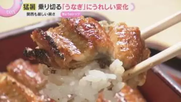 今夏はお得に“うな重”を　うなぎ豊漁で価格安定　卸値は2割超安　猛暑と物価高が厳しい日本を元気に