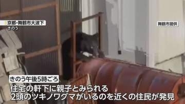 「迷わずに縁の下へ入りました」民家にクマで『緊急銃猟』　周囲では今朝（4日）も“クマ”の目撃情報　京都・舞鶴市
